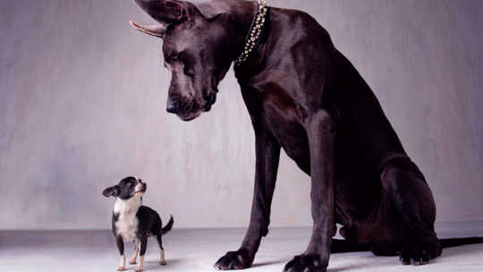 How Cockiness And Risk Tolerance Add To The Gender Wage Gap self confidence vs overconfidence 2 13